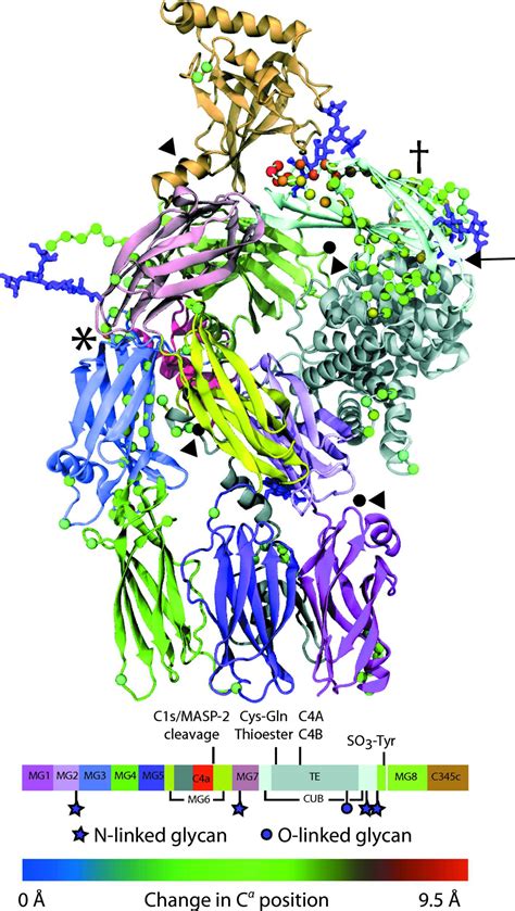 (IUCr) Re-evaluation of low-resolution crystal structures via interactive molecular-dynamics ...