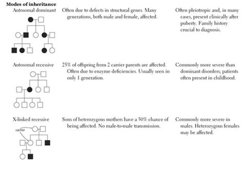 Genetics and Principles of Inheritance Flashcards | Quizlet