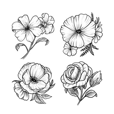 Realistic Hand Drawn Flower Design Elements 11166264 Vector Art at Vecteezy