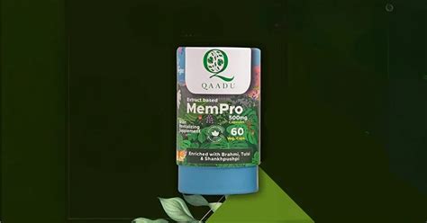 Natural Supplement for Memory, Focus, and Stress Relief