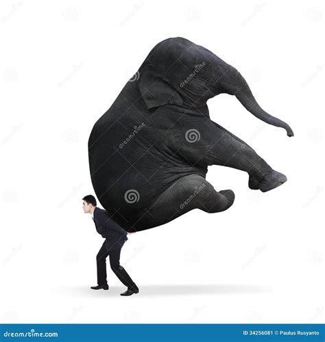 Businessman Carrying Heavy Elephant Stock Image - Image of businessman, indian: 34256081