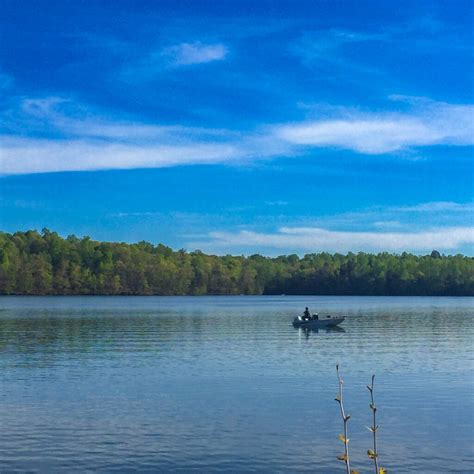 Salem Lake: Winston-Salem’s Ultimate Nature Destination | Living WS