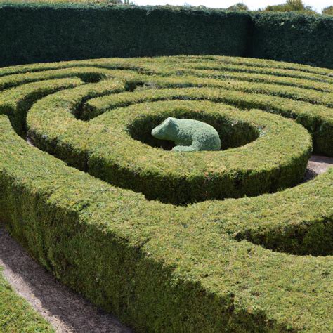 The Hedge Maze: A Journey through Time and Nature - TooLacks