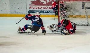 Types of Hockey 的图像结果