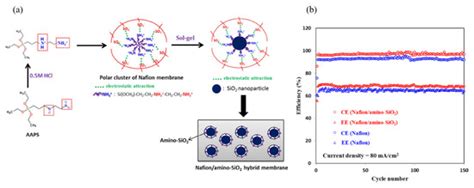 Modified Membranes for Redox Flow Batteries—A Review