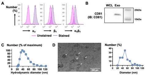 Development of Liver-Targeting αVβ5+ Exosomes as Anti-TGF-β ...