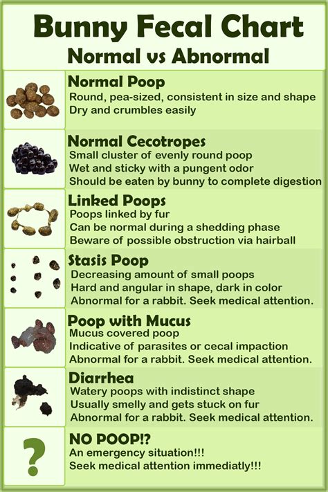 Mucus In Human Feces