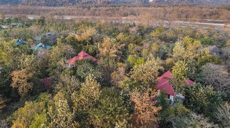 JIM'S JUNGLE RETREAT (Dhela) - Specialty Resort Reviews, Photos, Rate ...