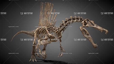 恐龙骨架图片素材-编号09695225-图行天下