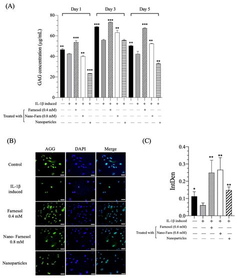 Restoration of the Phenotype of Dedifferentiated Rabbit Chondrocytes by ...