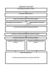 Image result for Pre-Lab Flow Chart