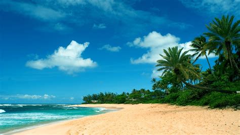 Hawaiian Beach Wallpaper (54+ images)