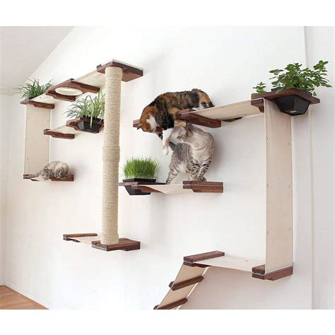 Cheap Diy Cat Wall Shelves - DIY Home Renovation Ideas