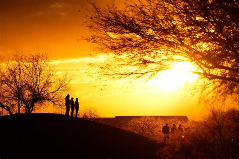 Arizona has 7 state nicknames, but just one is official. Do you know ...