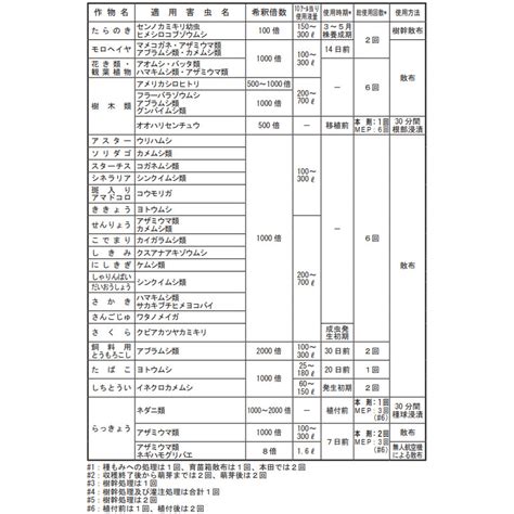 Image result for Computer Programming Format
