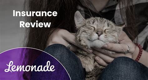Lemonade Pet Insurance Review 2024: A Detailed Look - Isarer.com