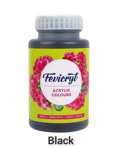 Fevicryl Acrylic Colours 500ml – Resinhastkala Store