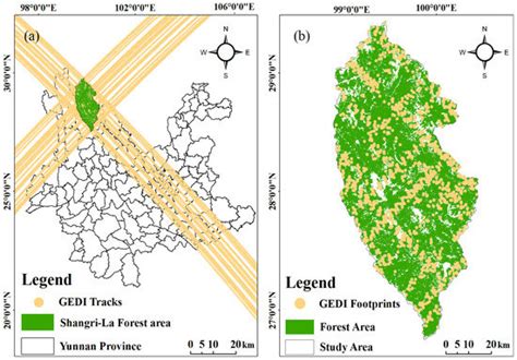Carbon Storage Estimation of Quercus aquifolioides Based on GEDI ...
