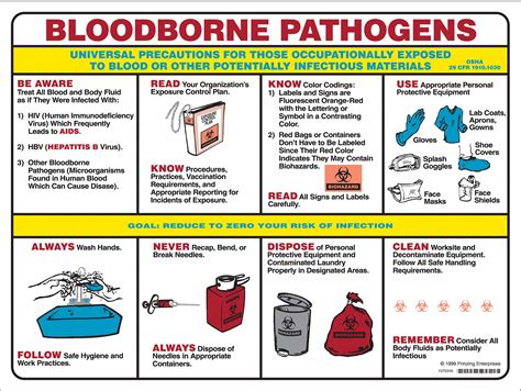 BRADY Biohazard Poster, Safety Banner Legend Bloodborne Pathogens ...