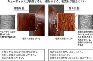 Image result for Prims Algorithm Unity