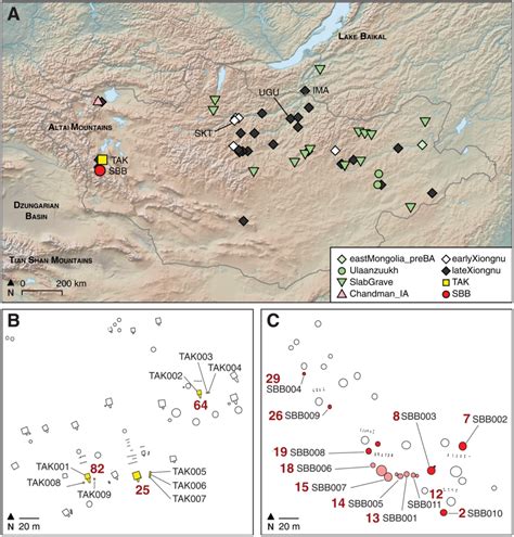 New Discoveries in Ancient DNA: Xiongnu, Iberia, and Deer Tooth? - FamilyTreeDNA Blog