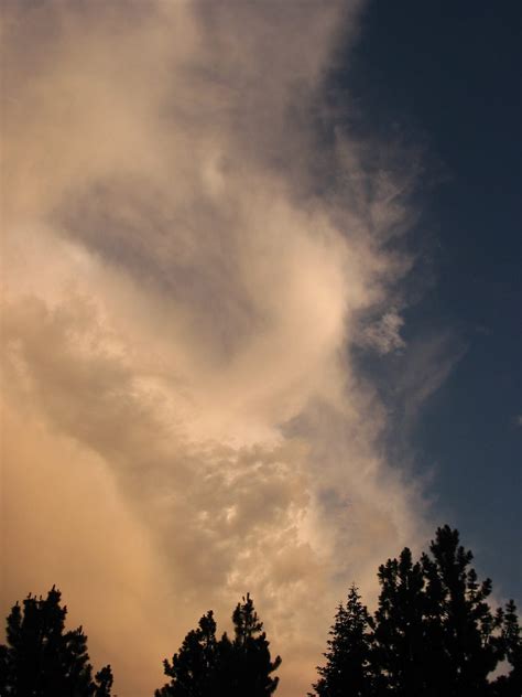 Creating Virtual Environments 的图像结果