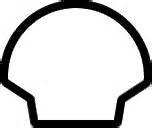 Image result for Shell Shapes