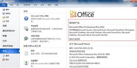 Microsoft Office 2010 Professional Plus Full Lifetime Activator+Serial ...