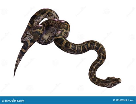 Image result for 50-Foot Python
