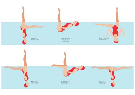 Basic Synchronized Swimming Moves 的图像结果