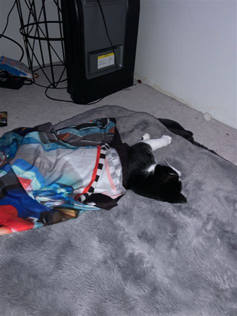 No Bitches Meme Generator