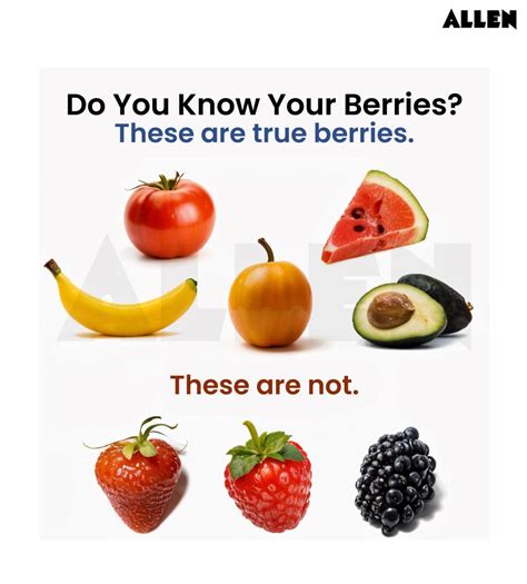 True Fruit, Classification and FAQs