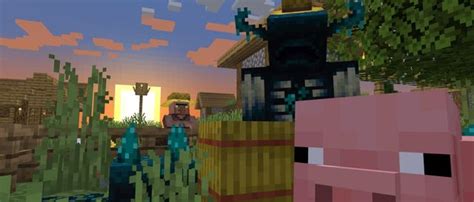 Image result for How to Get On Version 1.19 Minecraft Java