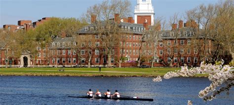 Image result for Spectrum Tours