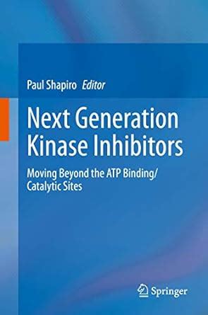 Next Generation Kinase Inhibitors: Moving Beyond the ATP Binding ...