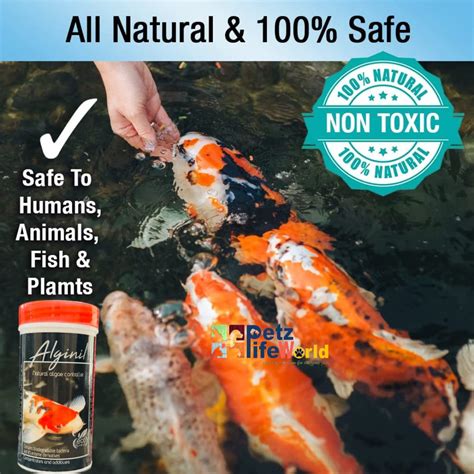 Aquatic Remedies ALGI-NIL,100g | Natural Algae Controller for Koi, Tro ...