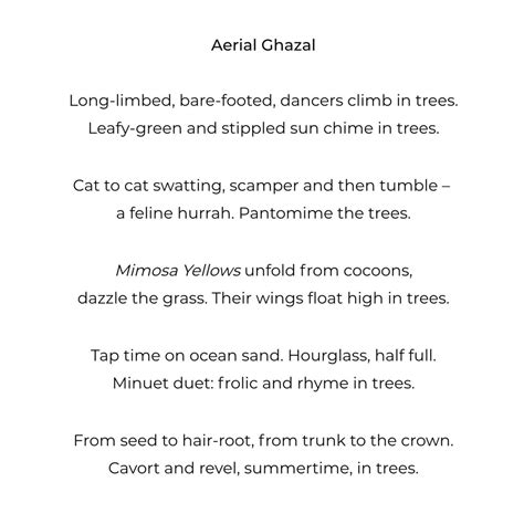 The Soil - Carly Simon, Ben & Sally Taylor, Dean & Bodhi Bragonier E7 ...