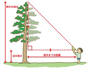 Image result for HTML Practical Class 7 Image Insert