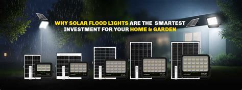 Solar lights Outdoor, Best Solar lamp & Lantern online Price in India ...