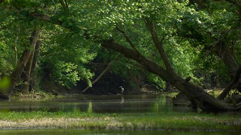 Floyds Fork | The Parklands of Floyds Fork