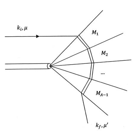 Multi Process Interaction Map 的图像结果