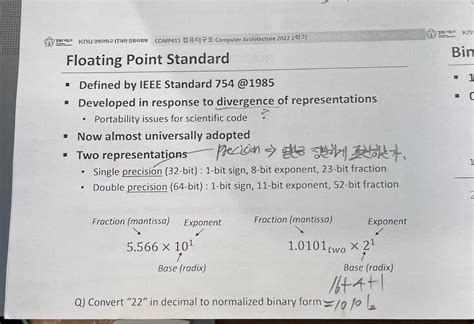 Infdev Floating Point 的图像结果