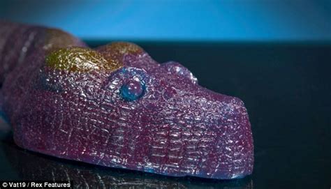 Image result for Kodak Python Snack