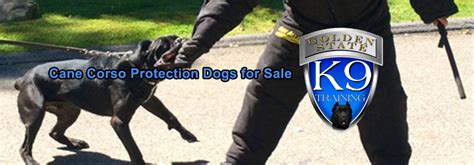 Cane Corso Protection 的图像结果