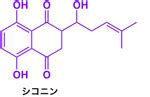 Image result for Key Events Example
