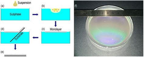 A Facile Interfacial Self-Assembly of Crystalline Colloidal Monolayers ...