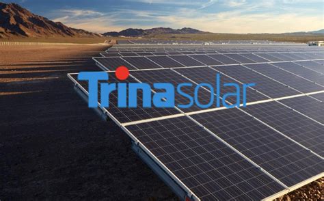 Trina Solar là một "ông lớn" với lịch sử lâu đời và nhiều đổi mới.