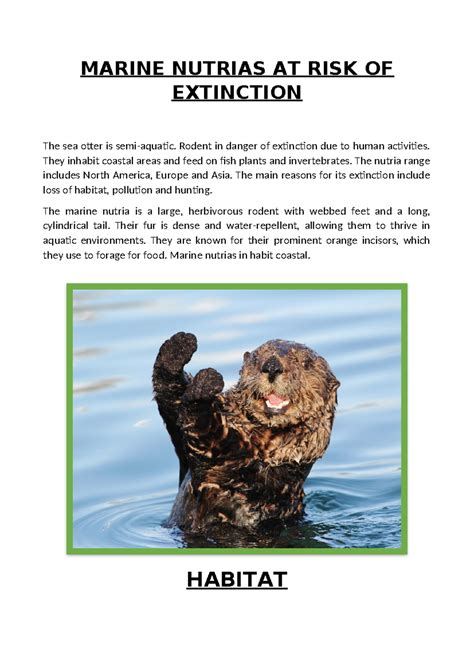 Entregable n°1 de ingles nutria marina - MARINE NUTRIAS AT RISK OF ...