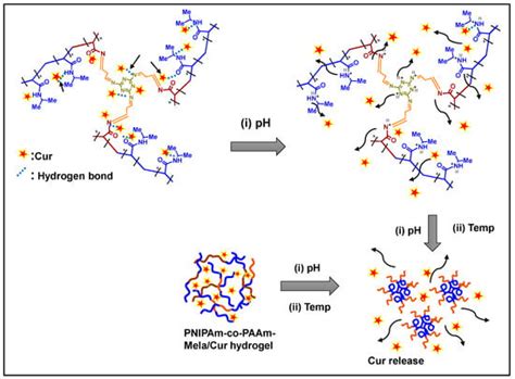 pH and Thermoresponsive PNIPAm-co-Polyacrylamide Hydrogel for Dual ...