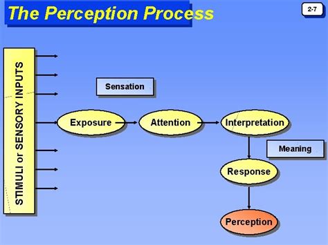 Image result for Understanding Perception